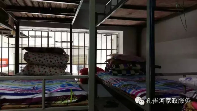 ��ȸ�Ӽ�����ķ������ů��ů��������