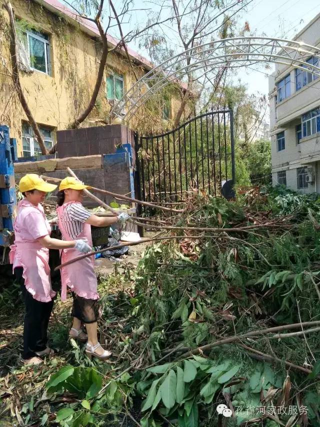 ��������y���������