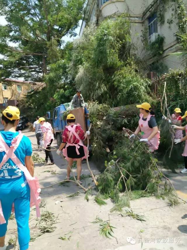 ��������y���������