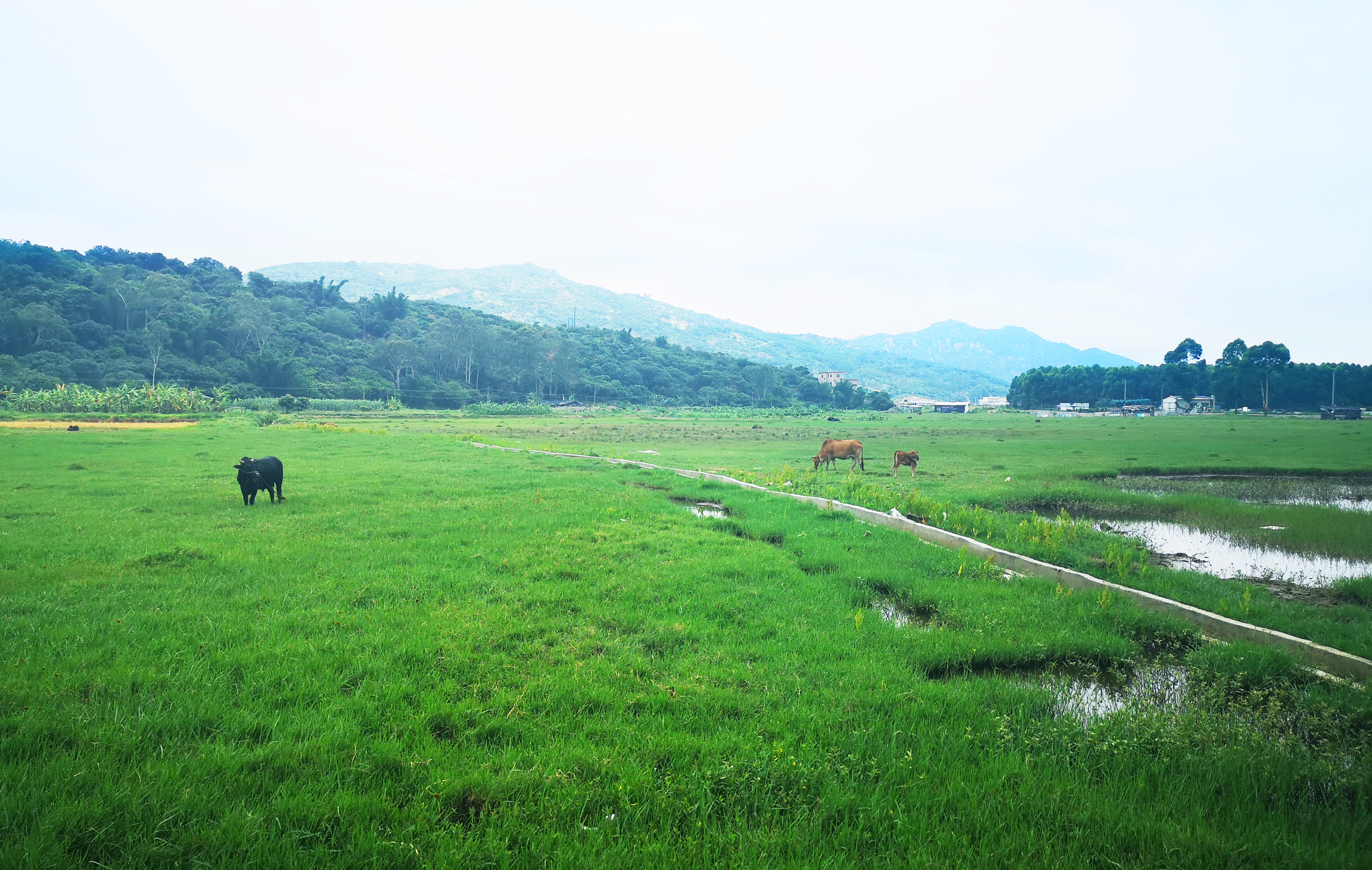 ���؄e��Ϣ���@�ε��ի@�H�S����ȸ���H�ӻ�������Y(ji��)������