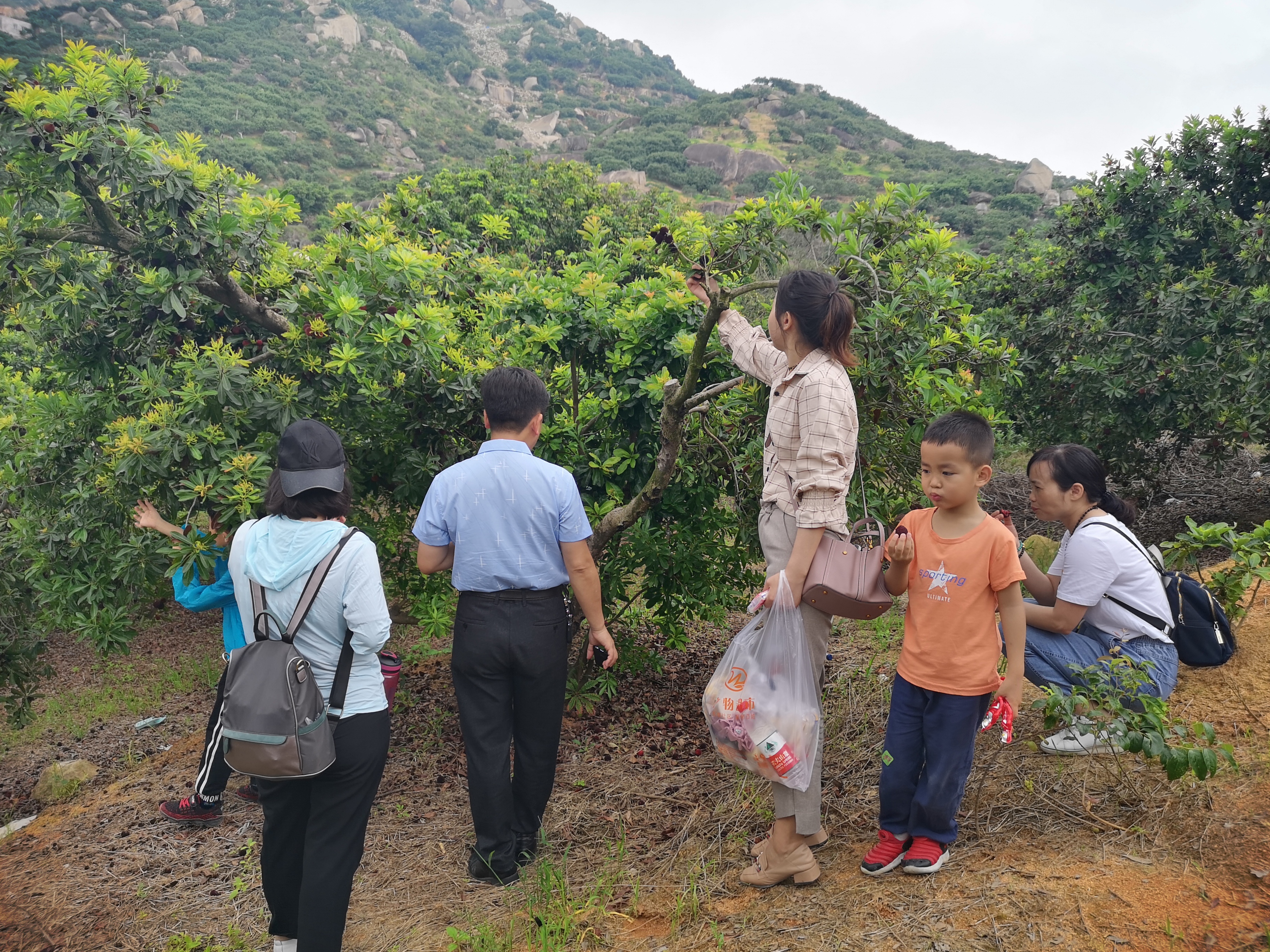 ���؄e��Ϣ���@�ε��ի@�H�S����ȸ���H�ӻ�������Y(ji��)������