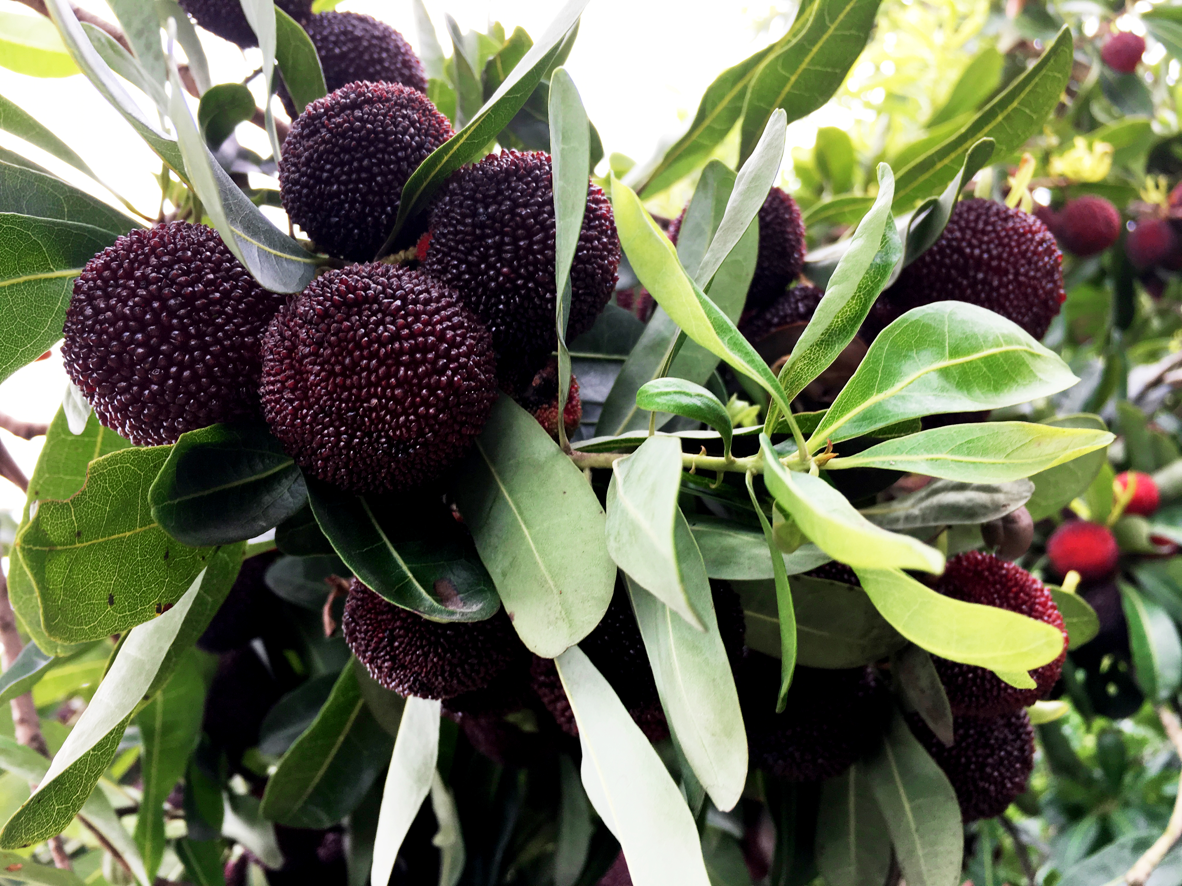 ���؄e��Ϣ���@�ε��ի@�H�S����ȸ���H�ӻ�������Y(ji��)������