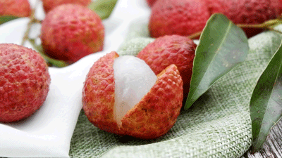 ��֦����һ���@��������ȸ����ɩ��Ӗ(x��n)���f(w��n)��